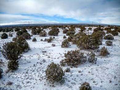 DJI_0010 (1)
