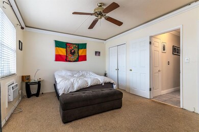 photo-6