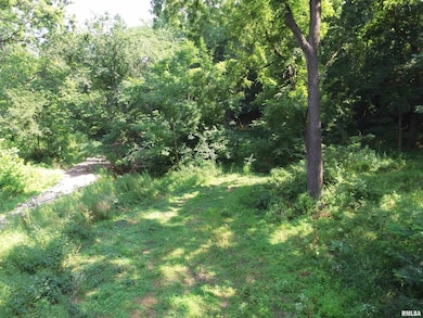 1004 34th Ave, Moline, IL 61265 - photo 5