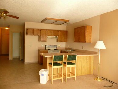150 S West Village Cir unit 31E, Beaver, UT 84713 - photo 4