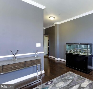 7688 Maple Lawn Blvd unit 1, Fulton, MD 20759 - photo 5