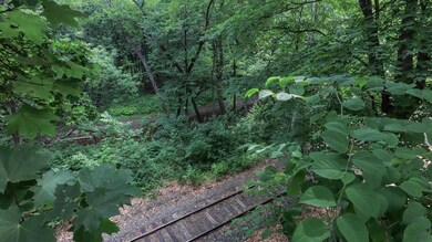 129 Daniel Webster Hwy, Plymouth, NH 03264 - photo 6