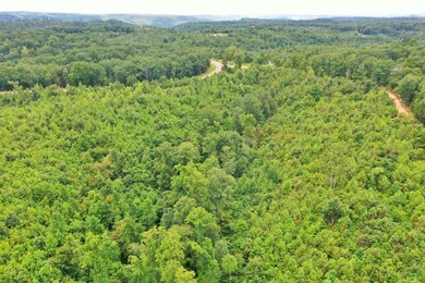 0 Highway 128 unit 2183113, Linden, TN 37096 - photo 4