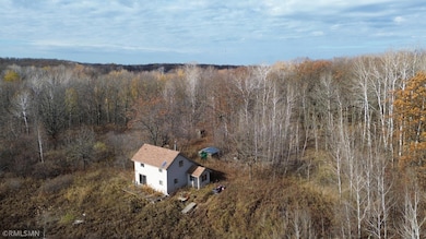 TBD 170th Place, McGregor, MN 55760 - photo 4