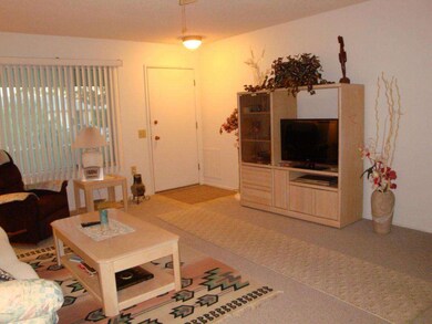 9727 W Lindgren Ave, Sun City, AZ 85373 - photo 4