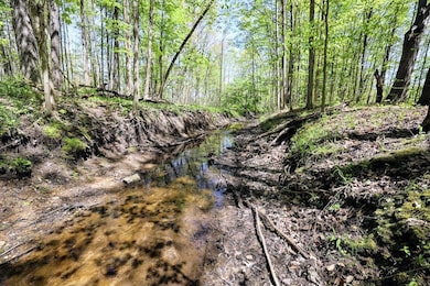 59371 4th Ave Lot unit WP001, Grand Junction, MI 49056 - photo 4