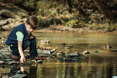 302 Carnoustie unit 221-C, Birmingham, AL 35242 - photo 4