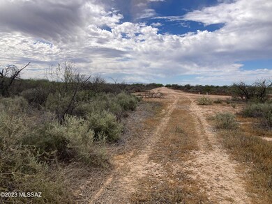 IMG-7878