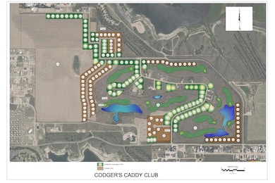 Codgers Caddy Club