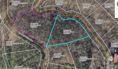 00 Trimont Mountain Rd, Franklin, NC 28734 - photo 7