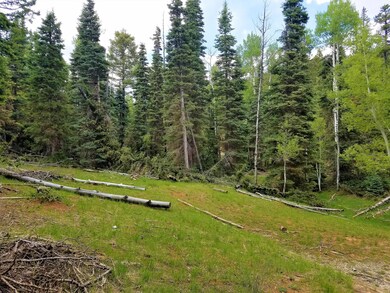 125 & 135 Buckhorn Trail, Duck Creek Village, UT 84762 - photo 7