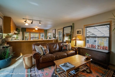 137 Ridge Trail, Aspen, CO 81611 - photo 4
