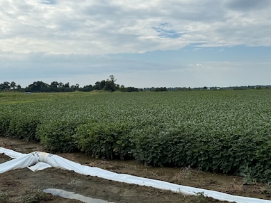 136 Sfc 224, Forrest City, AR 72335 - photo 2