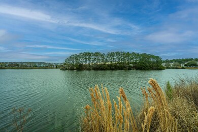 Lake Whitney House View