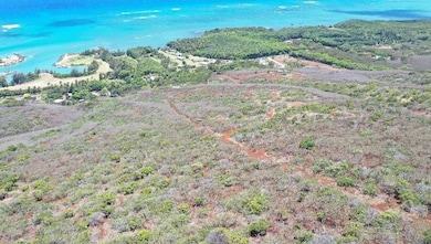 0 Wailau Valley Rd unit Lots 3 and 4 406479, Kaunakakai, HI 96748 - photo 5