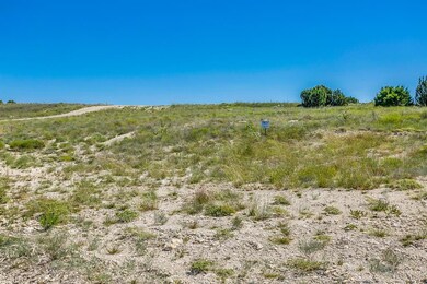 1073 Eagles Bluff Dr, Weatherford, TX 76087 - photo 5