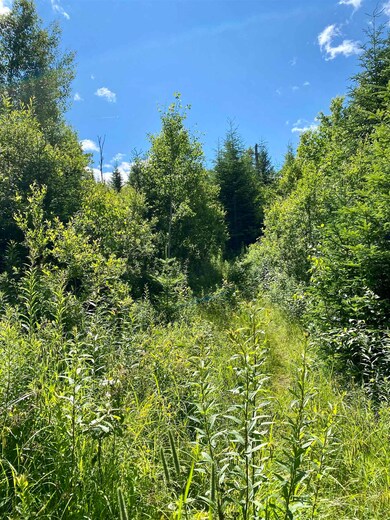 0 Quimby Rd unit 16 4918978, Stewartstown, NH 03576 - photo 5