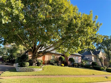 Beautiful Shade Tree