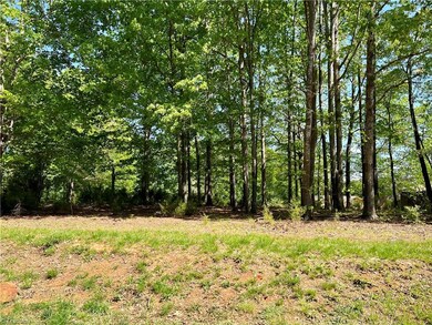 3509 & 3479 Meredith Country Rd, Asheboro, NC 27205 - photo 5