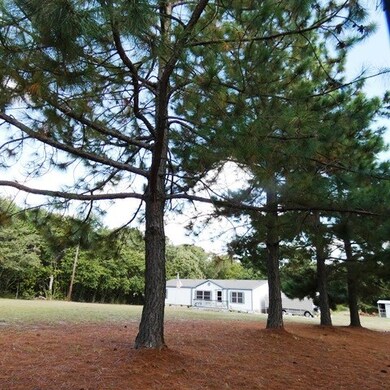 8751 County Road 41126, Athens, TX 75751 - photo 3