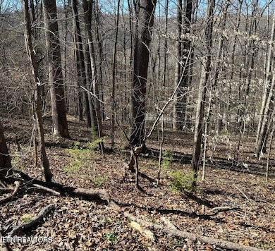 20240409182528354754000000-o