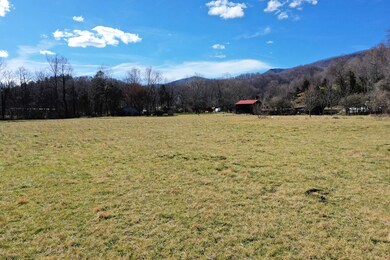 000 Buff Creek Rd, Sylva, NC 28779 - photo 3