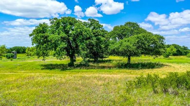 3504 Temple Hall Hwy, Granbury, TX 76049 - photo 2