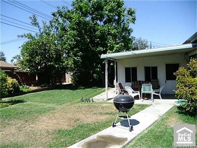 Back yard