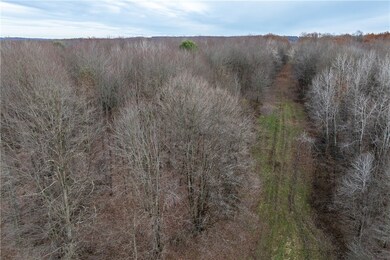 0 Kitch Rd at Linn Tyro Rd unit 1731816, Otter Creek Township, PA 16125 - photo 3