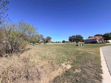 TBT Friend's Wood Ave, Kingsland, TX 78639 - photo 6