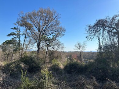 0 County Road 135 unit 25498670, Stevenson, AL 35772 - photo 7