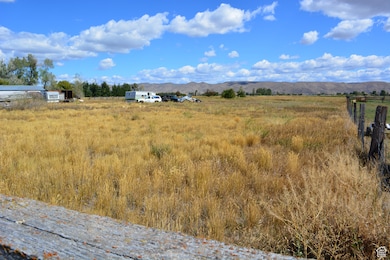 4462 Dingle Rd, Dingle, ID 83233 - photo 5