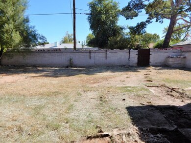 023-295349 - Backyard 1