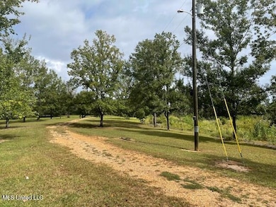 198 Stallings Bridge Rd, Tylertown, MS 39667 - photo 2