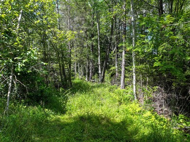 71 Jordan Ln, Turner, ME 04282 - photo 4