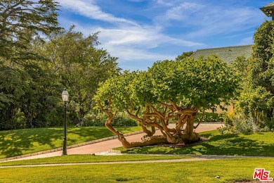 570 S Mapleton Dr, Los Angeles, CA 90024 - photo 4