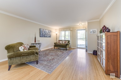 1146 Wintergreen Terrace, Batavia, IL 60510 - photo 3