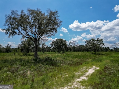 0 Nantze Springs Rd, Arlington, GA 39813 - photo 4