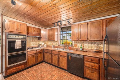 26003 Morris Ave, Conifer, CO 80433 - photo 6