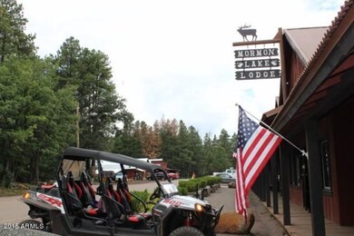 Mormon Lake Lodge