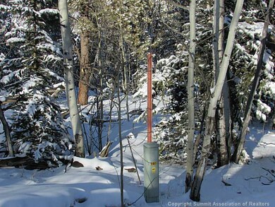 191 Smith and Wesson Rd, Como, CO 80432 - photo 4