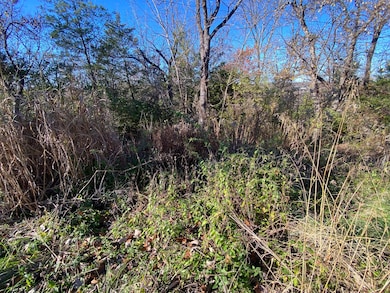 0 E Redbud St, Springfield, MO 65804 - photo 5