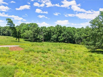 0 Arthur Allen Rd unit 7683303, Cleveland, GA 30528 - photo 7