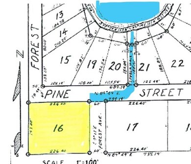 435* Pine St, Harrison, MI 48625 - photo 4