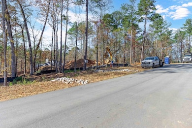 1077 Painted Bunting Dr, Greensboro, GA 30642 - photo 4