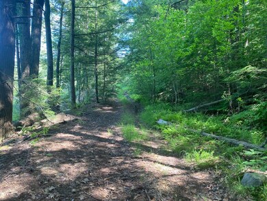 0 Old Rindge Rd unit 16-029-000 4916615, Fitzwilliam, NH 03447 - photo 4