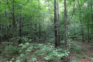 TBD Slay Rd, Olla, LA 71465 - photo 7