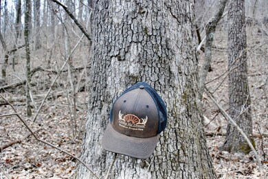 0 Tbd Ar-16, Pettigrew, AR 72752 - photo 7