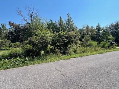 34177 Tupelo Ln, Slidell, LA 70460 - photo 2