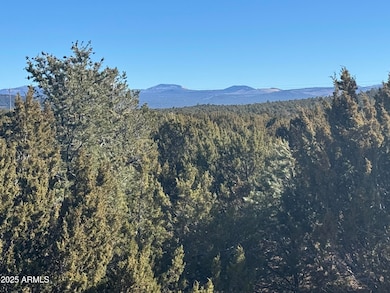 #5 Skyline Ranch -- unit 5, Vernon, AZ 85940 - photo 2